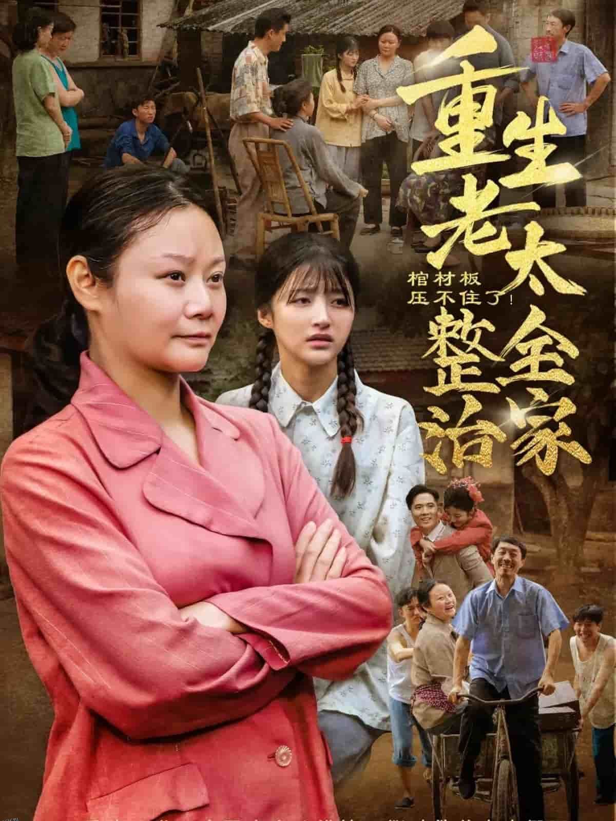 棺材板压不住了重生老太整治全家 海报