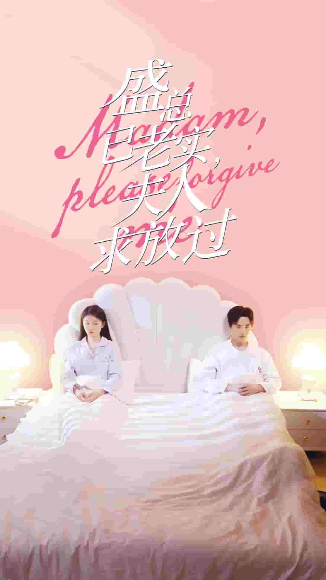 盛总已老实，夫人求放过 海报