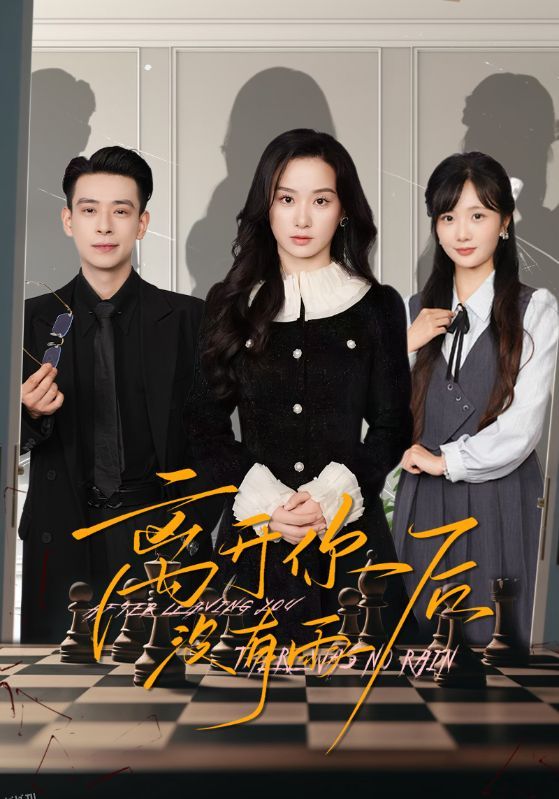 离开你后没有雨 海报