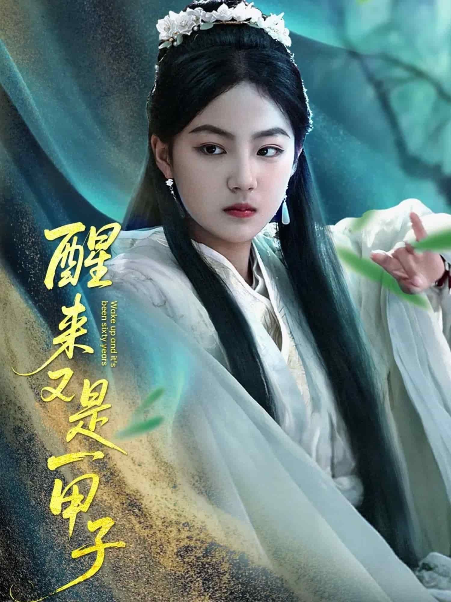 醒来又是一甲子 海报