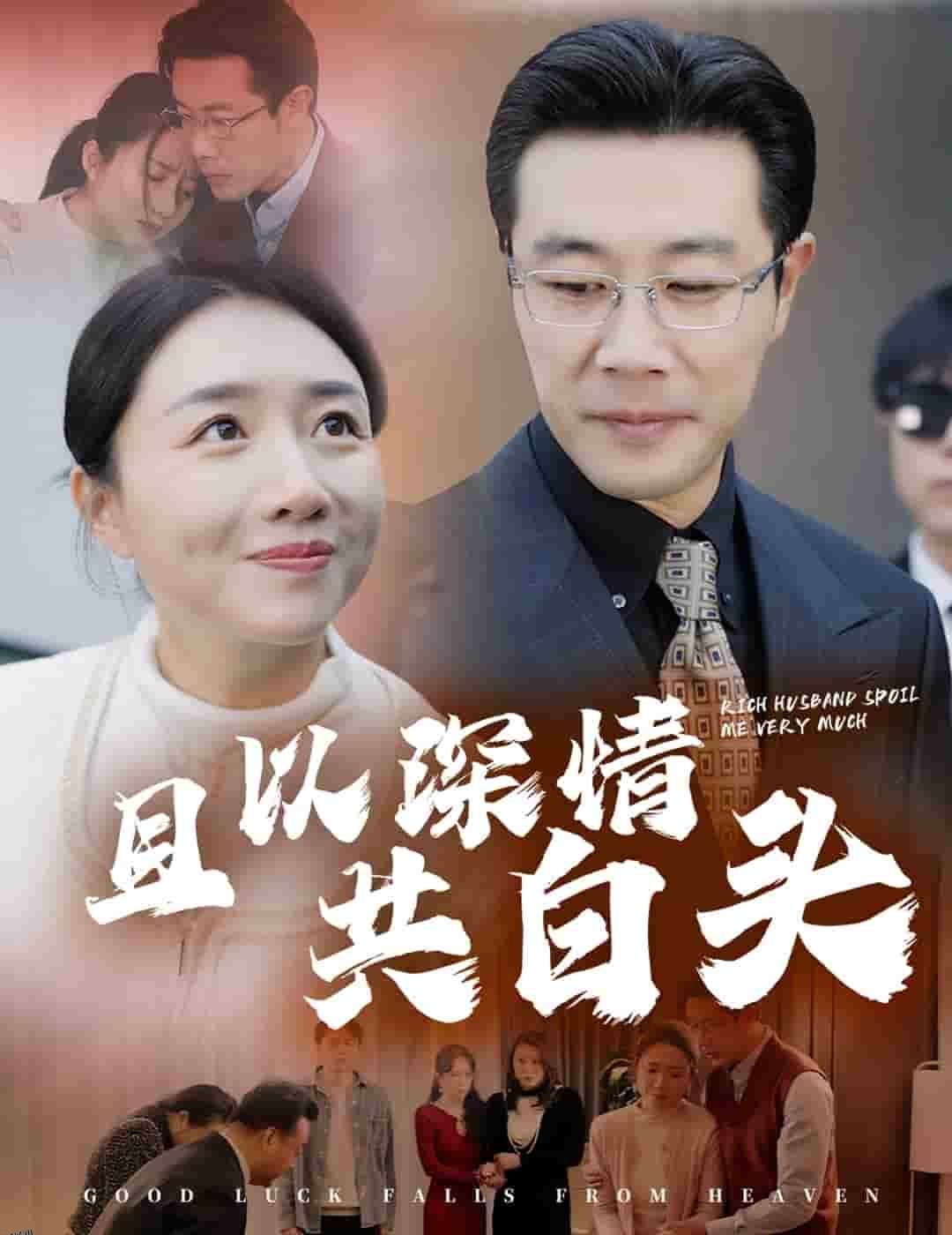 且以深情共白头 海报