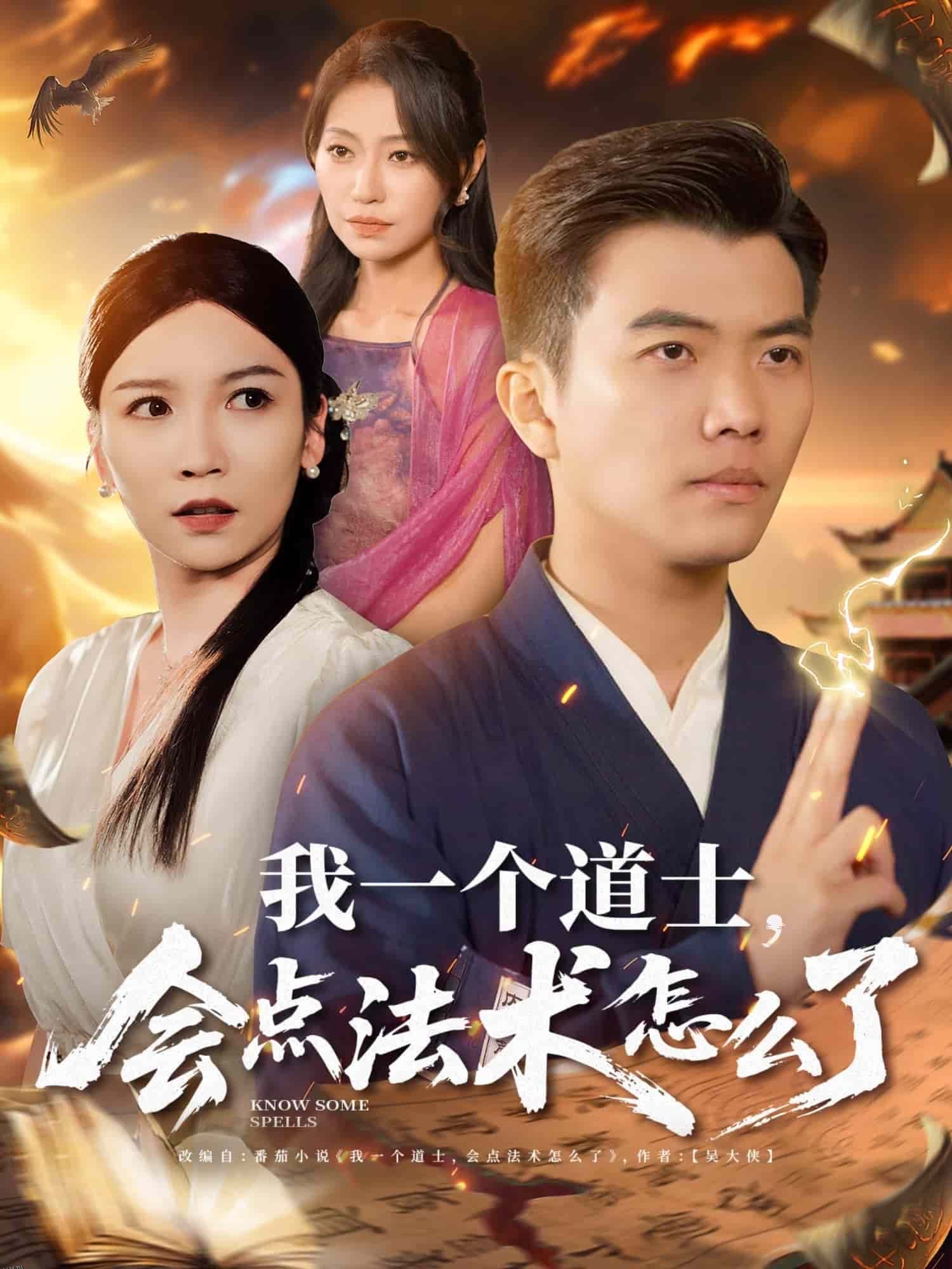 我一个道士会点法术怎么了 海报