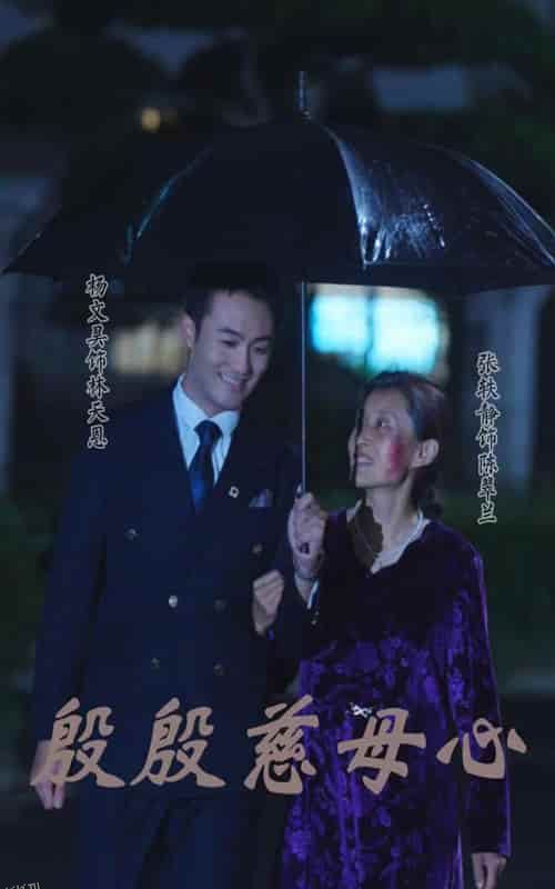 殷殷慈母心 海报