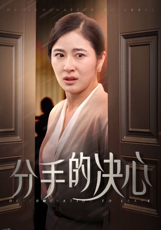 分手的决心 短剧版 海报