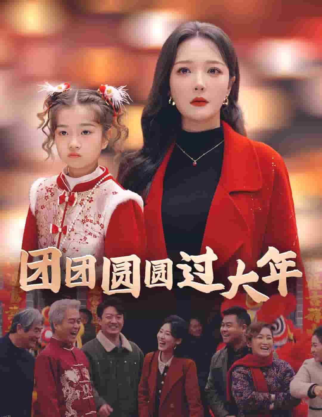 团团圆圆过大年 高清海报