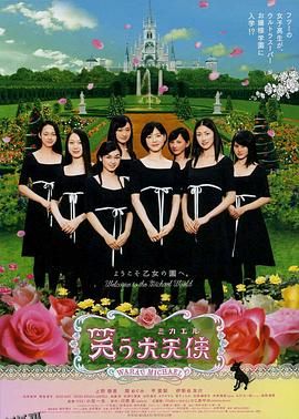 欢笑大天使 海报