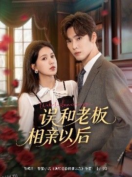误和老板相亲以后 海报