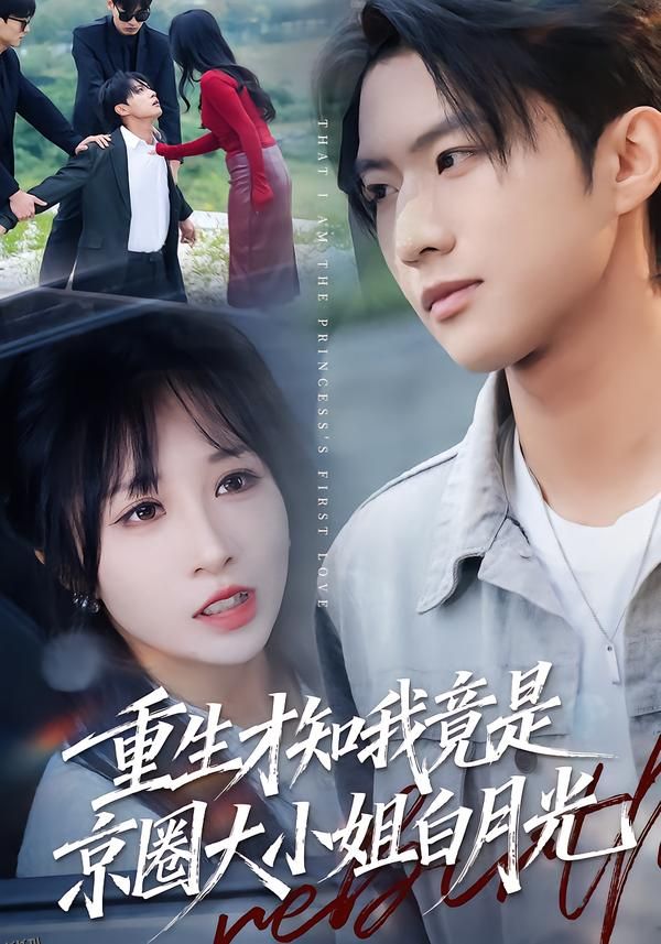 重生才知我竟是京圈大小姐白月光 海报