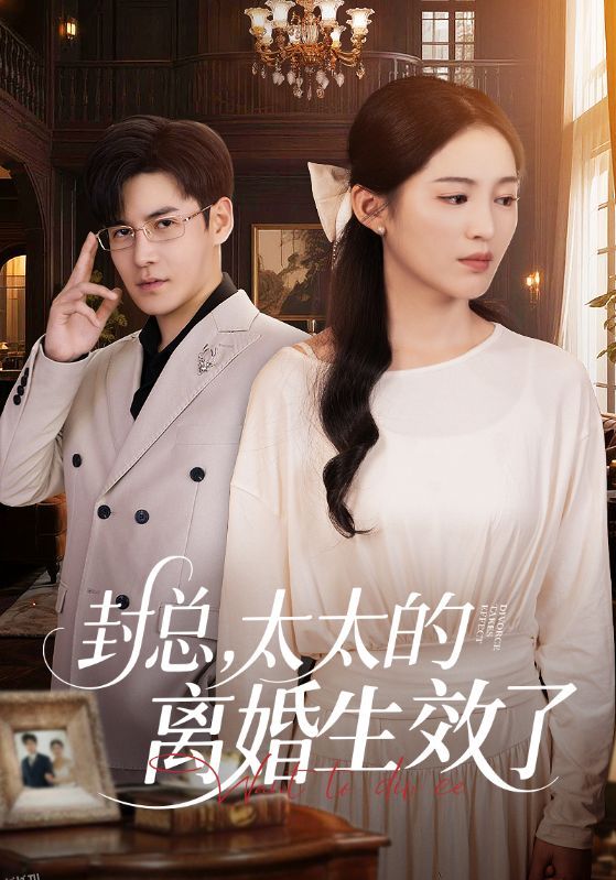 封总，太太的离婚生效了 海报