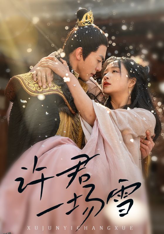 许君一场雪 海报