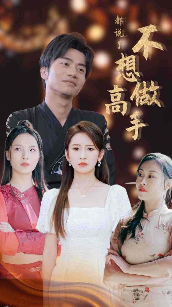 都说了不想做高手 海报