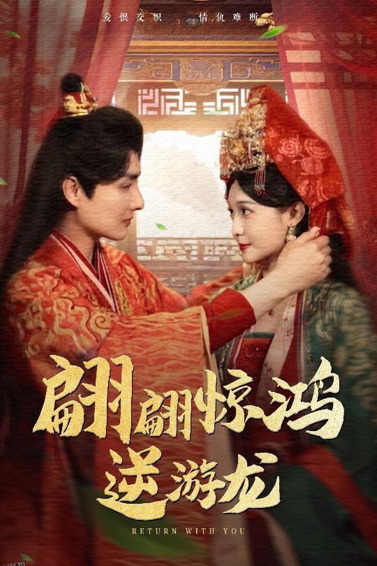 翩翩惊鸿逆游龙 海报