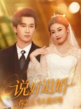 说好退婚你怎么当天就反悔 海报