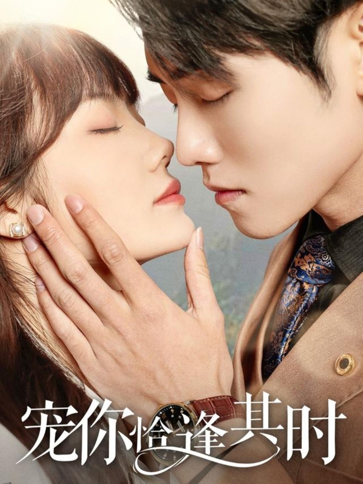 宠你恰逢其时 海报