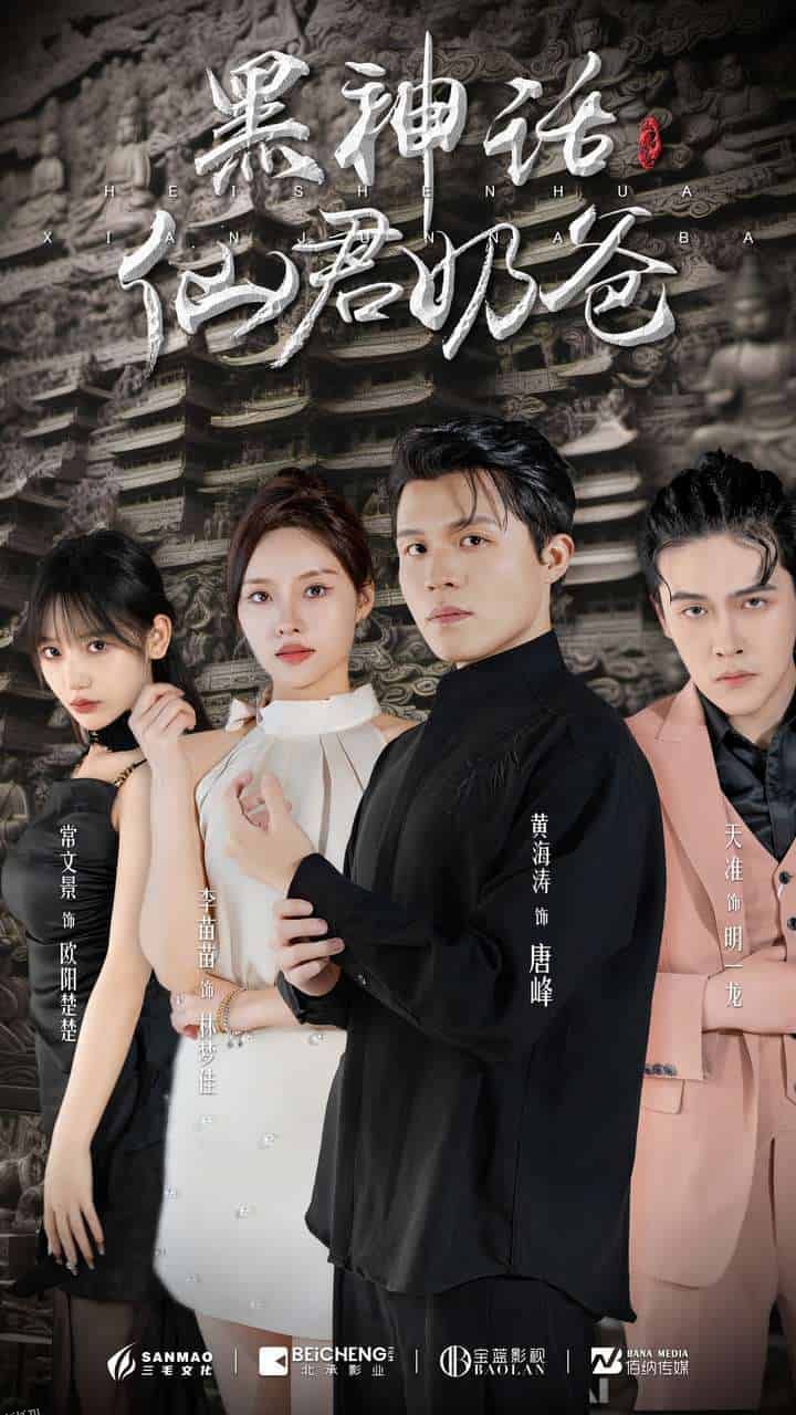 黑神话仙君奶爸 海报