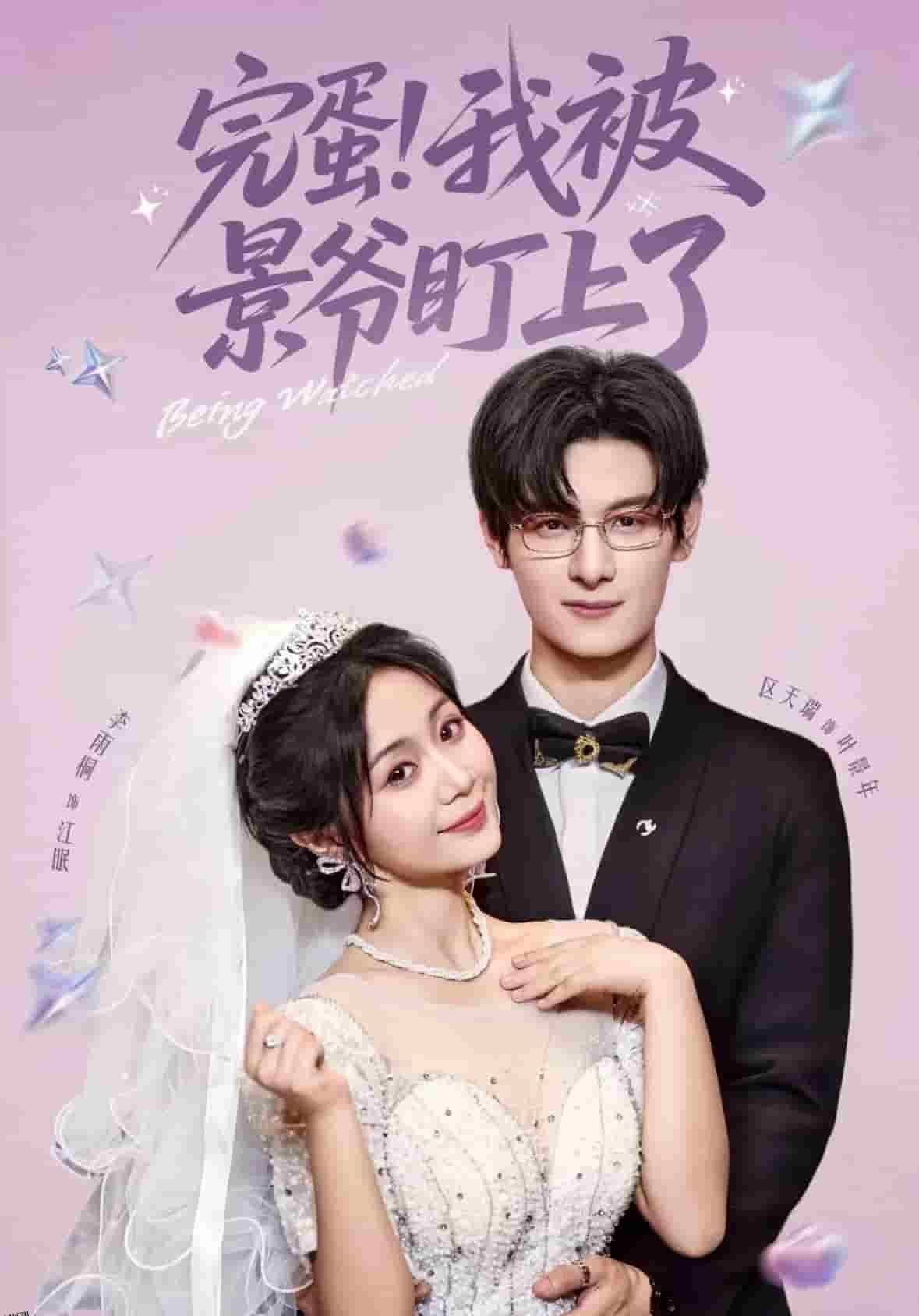 完蛋我被景爷盯上了 海报