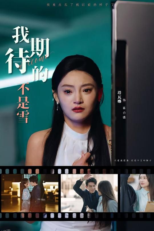 我期待的不是雪 海报
