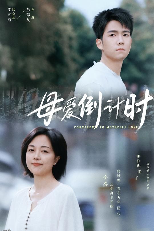 母爱倒计时 海报