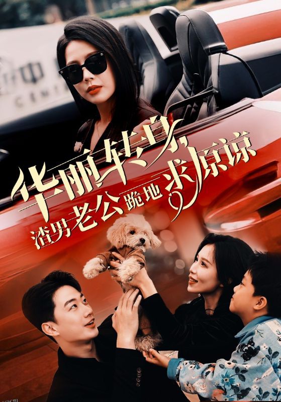 华丽转身渣男老公跪地求原谅 海报