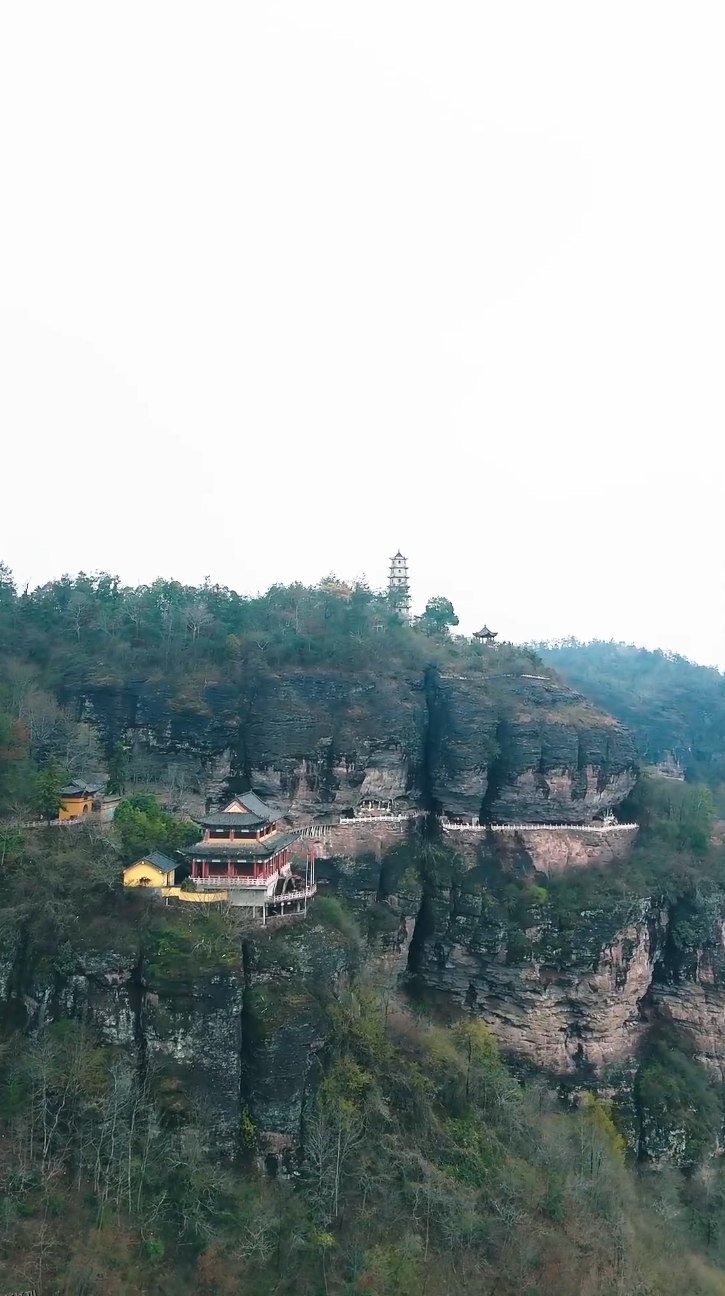 功夫萌宝神算爹 海报