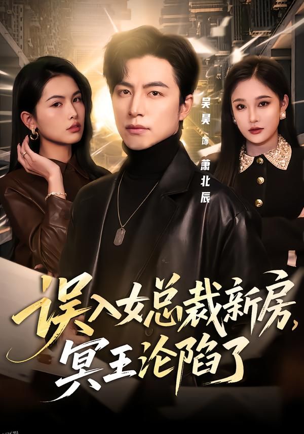 误入女总裁新房，冥王沦陷了 海报