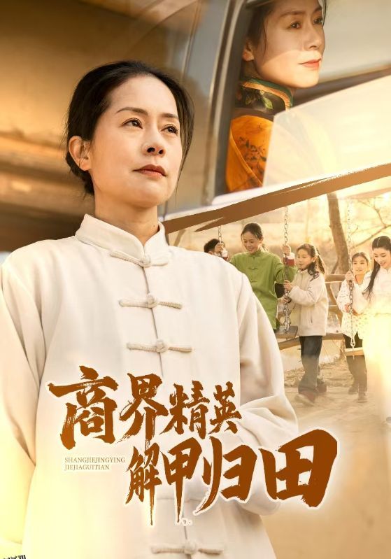 商界精英解甲归田 海报