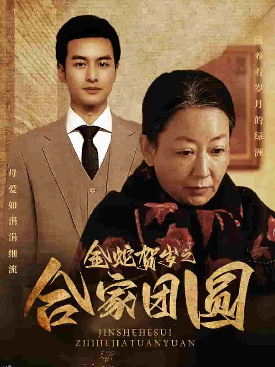 金蛇贺岁之合家团圆 海报