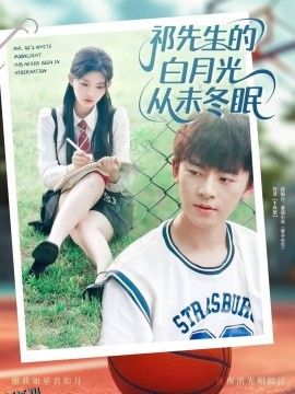 祁先生的白月光从未冬眠 海报