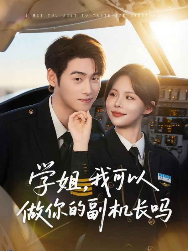 学姐我可以做你的副机长吗 海报