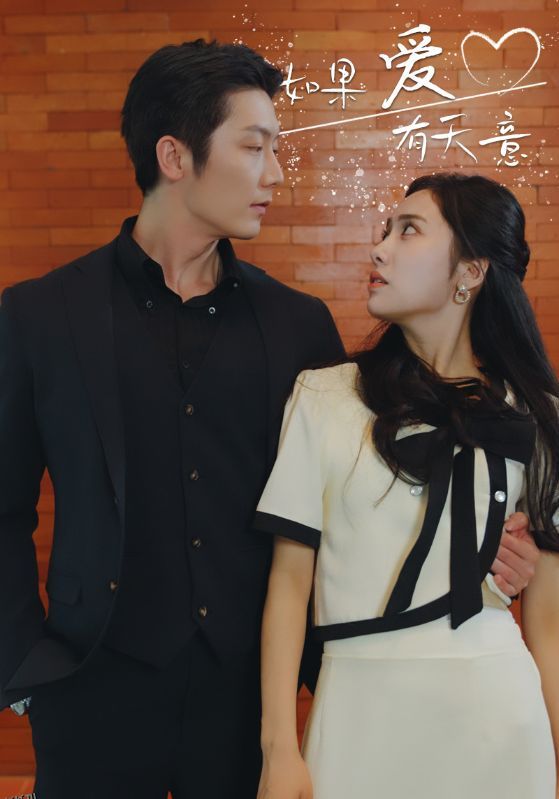 如果爱有天意 海报