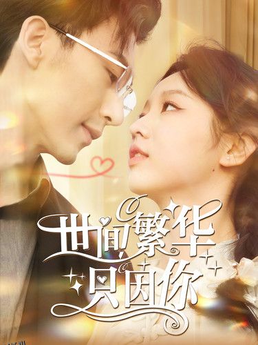 世间繁华只因你 海报