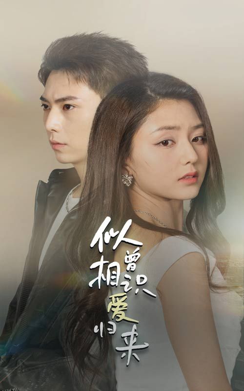 似曾相识爱归来 海报