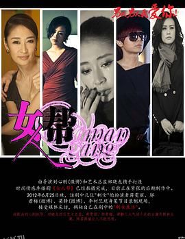 女人帮2013 海报