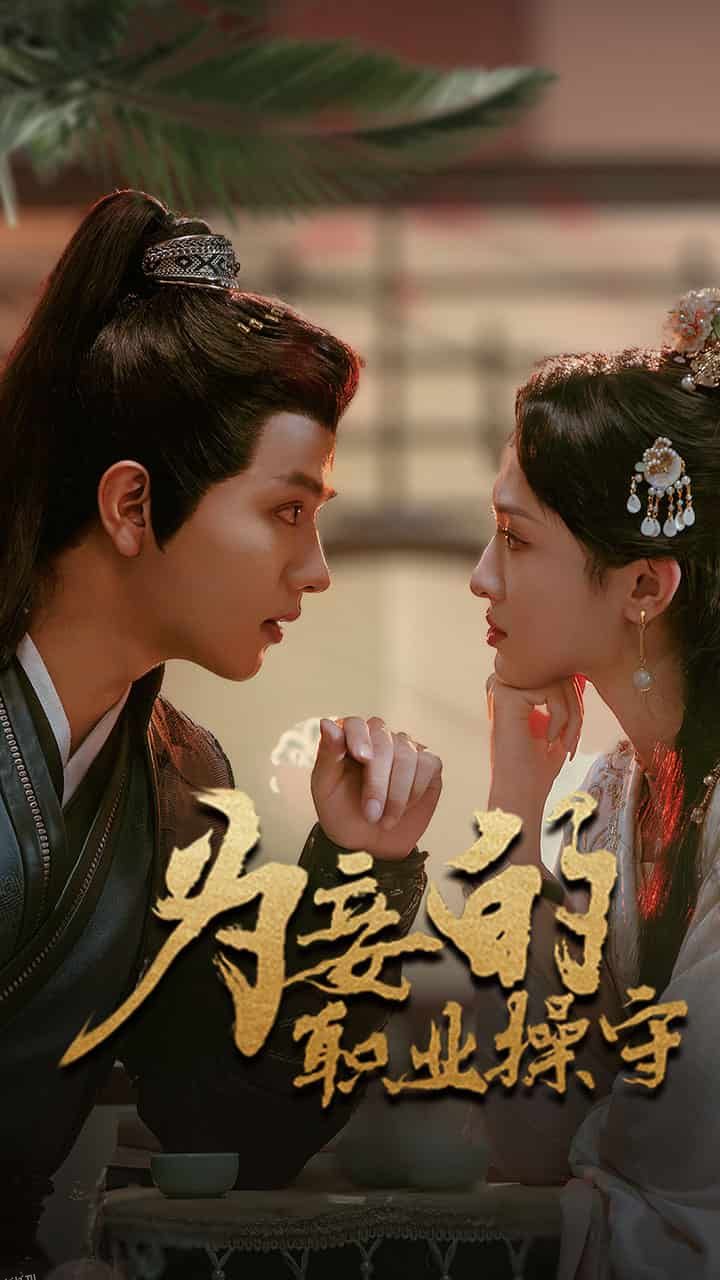 为妾的职业操守 海报