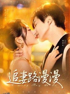 追妻路漫漫 海报