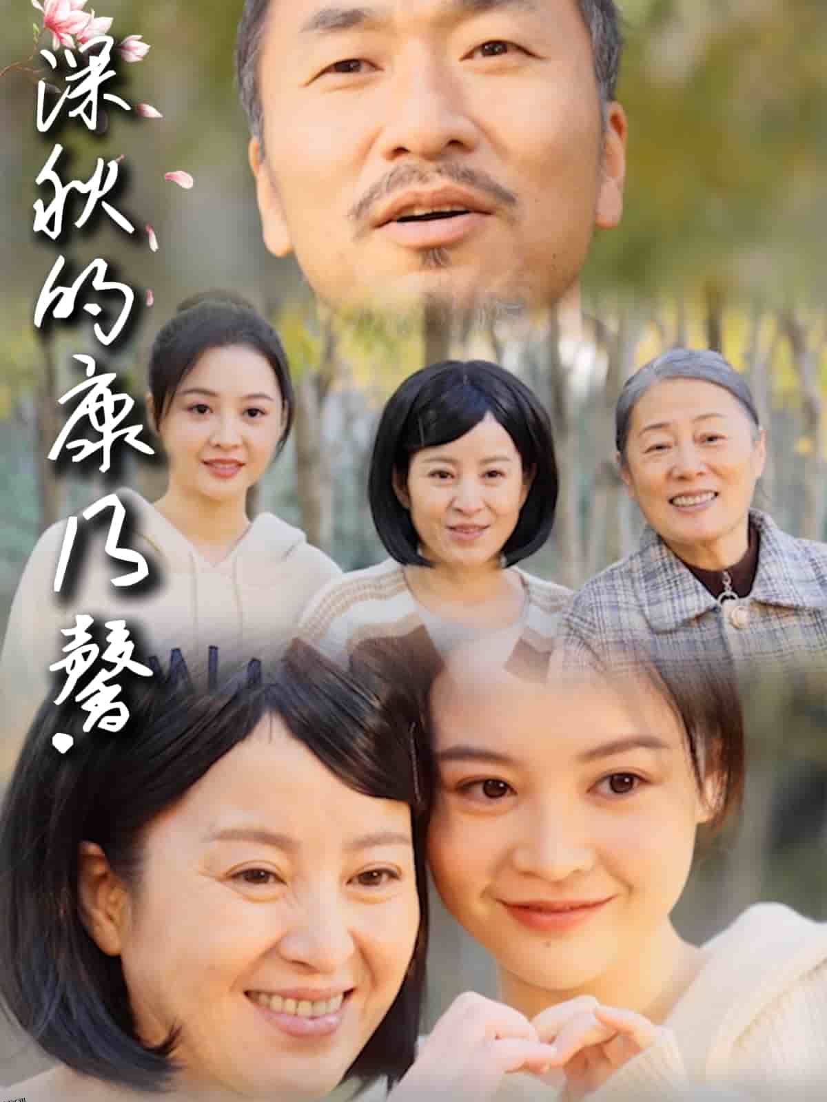 深秋的康乃馨 海报