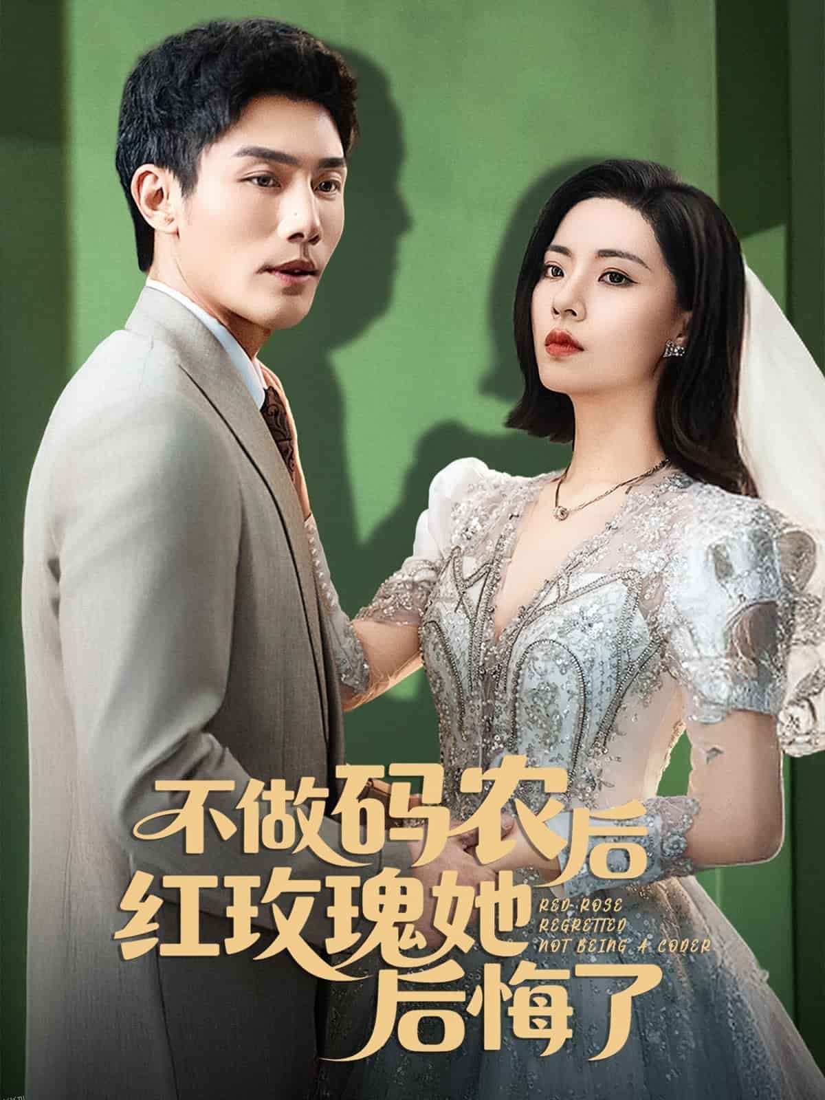 不做码农后红玫瑰她后悔了 海报