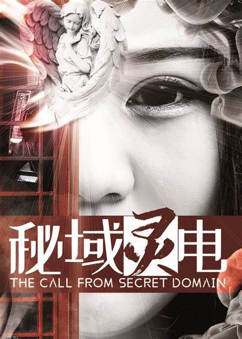 秘域灵电 海报