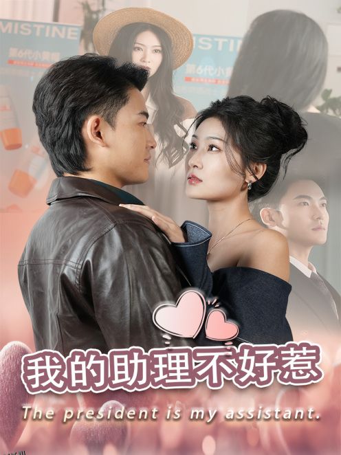 我的助理不好惹 海报