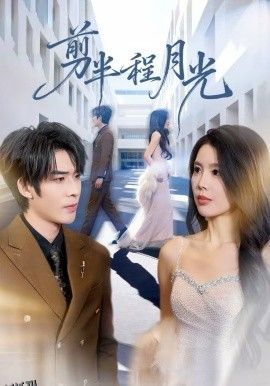 剪半程月光 海报