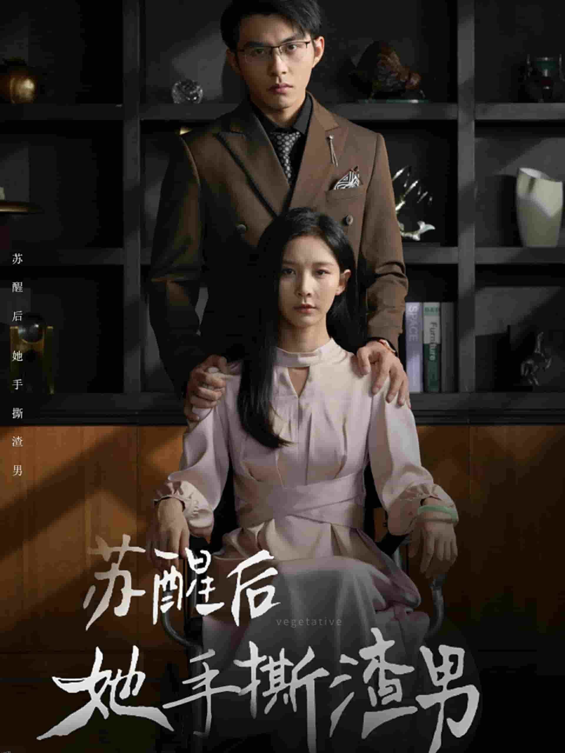 苏醒后她手撕渣男 海报