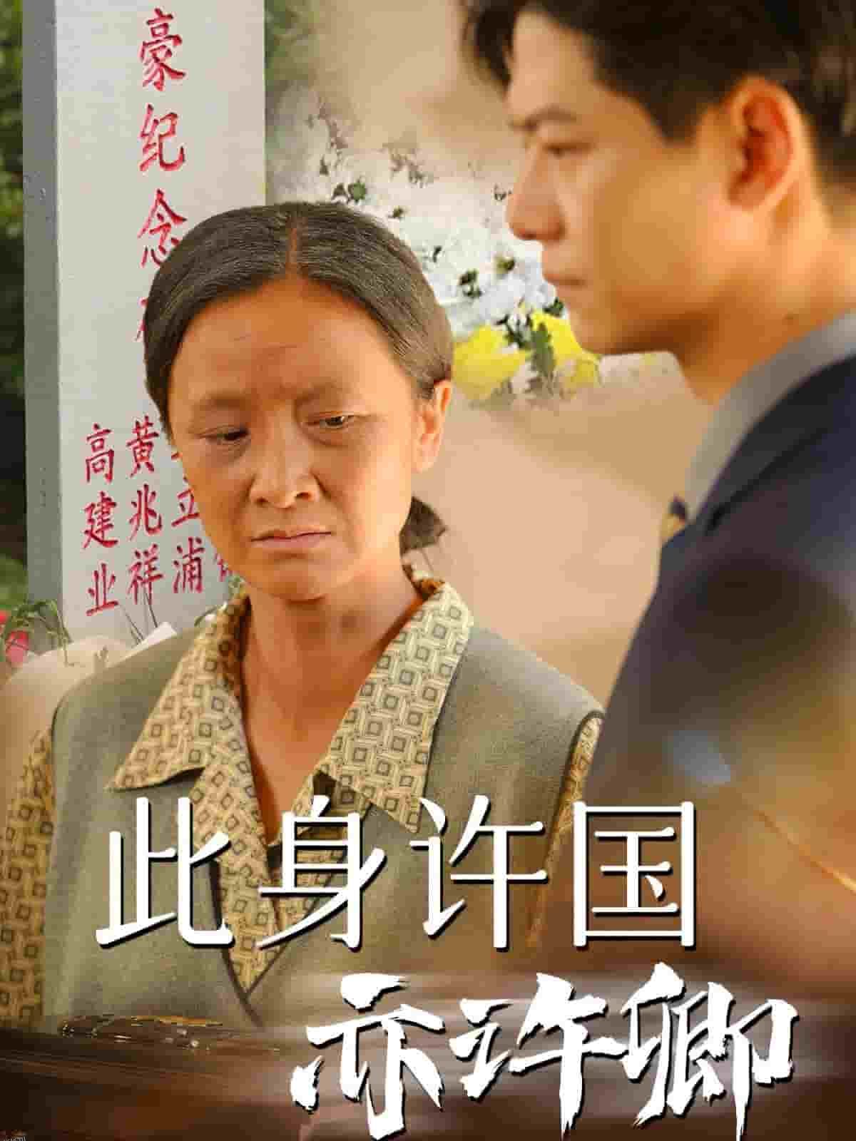 此身许国亦许卿 海报