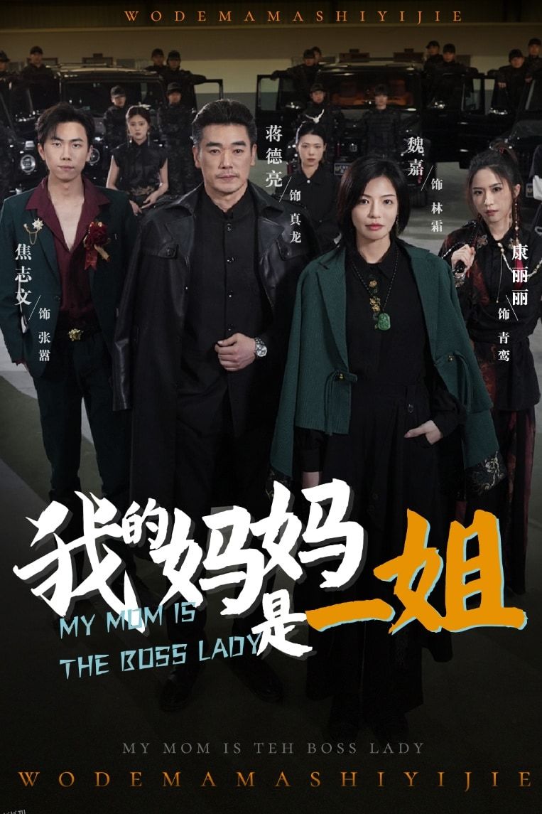 我的妈妈是一姐 海报