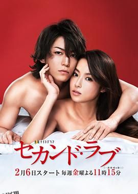 第二爱情 海报