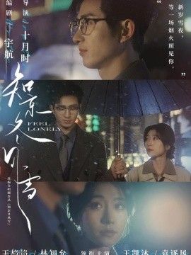 知京冬风雪 海报