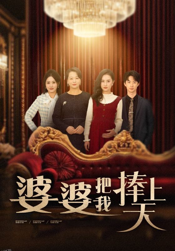 婆婆把我捧上天 海报