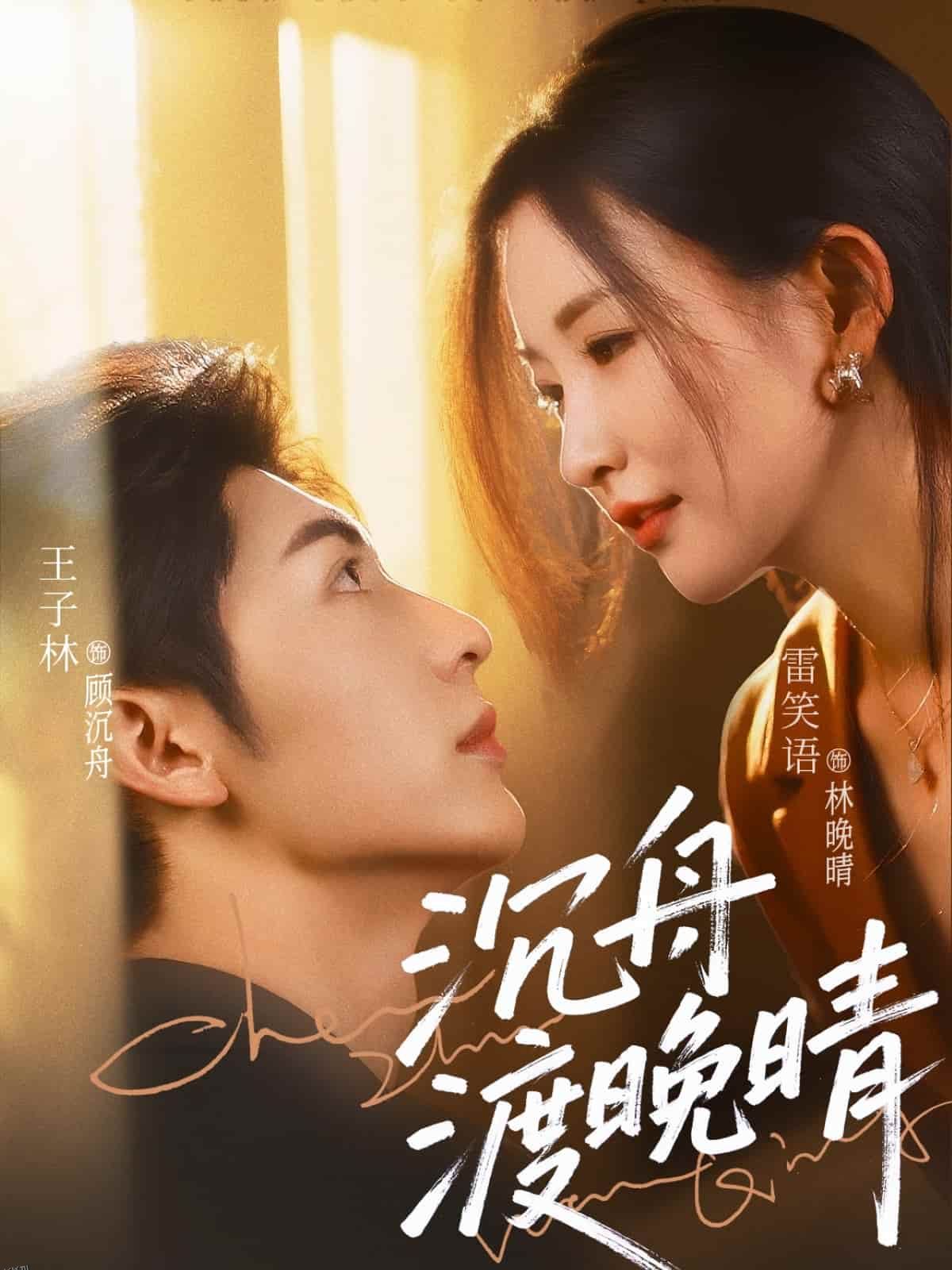 沉舟渡晚晴 海报