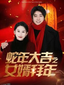 蛇年大吉之女婿拜年 海报