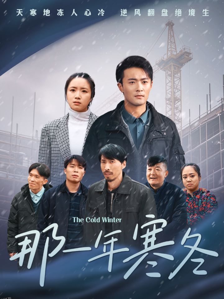 那一年寒冬 海报