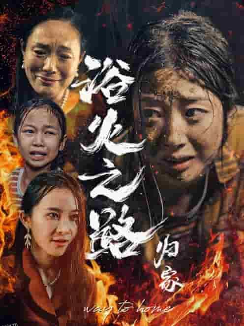 浴火之路归家 海报